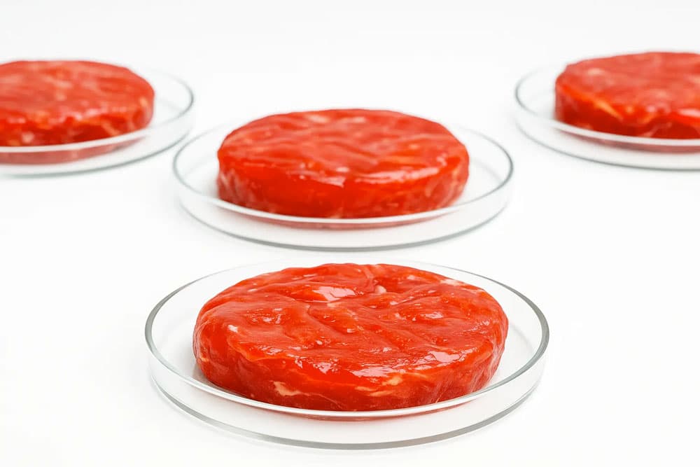 When You Know Better, Do Better: Why Cultivated Meat Isn't the Evolution We Need