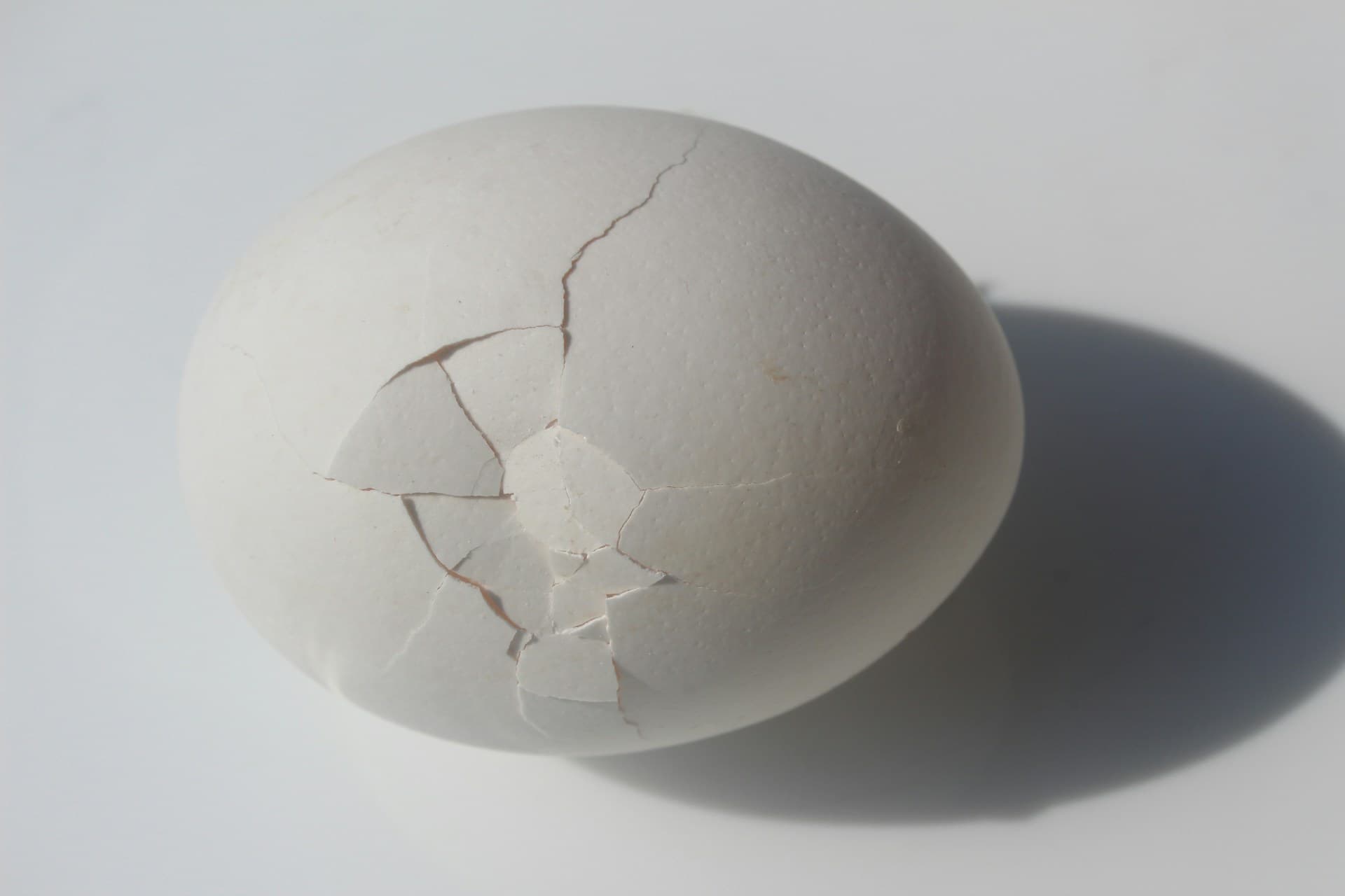 From Peer Review to Public Relations — The Death of Real Science