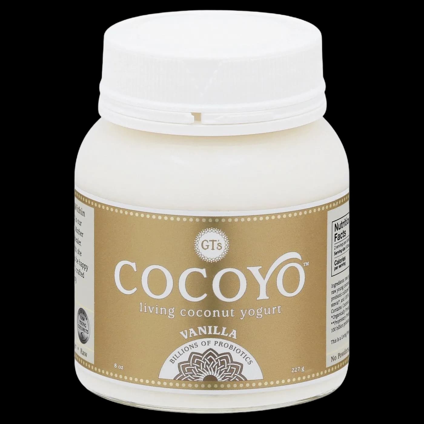 GT's Cocoyo Coconut Yogurt, Vanilla