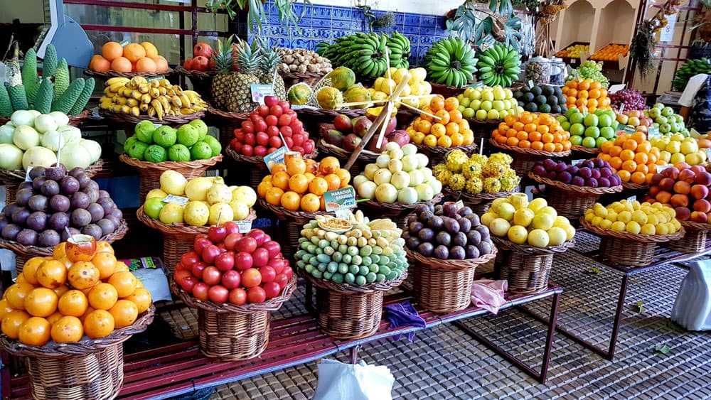 The Kingdom of Plants: It’s Time to Honor What Truly Sustains Us