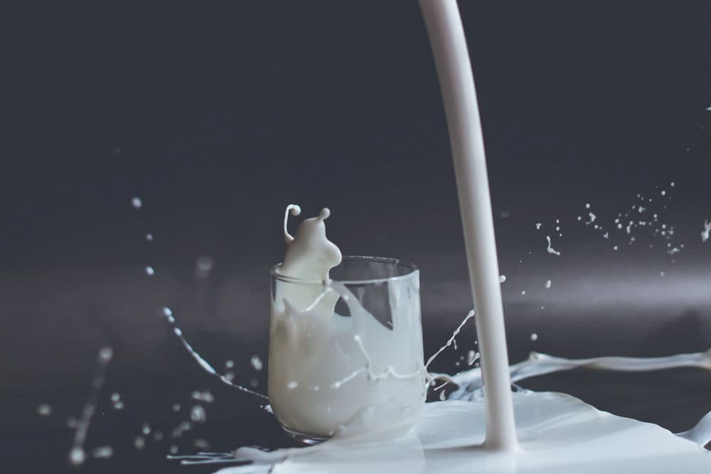 Is it time to retire dairy from our diets? 