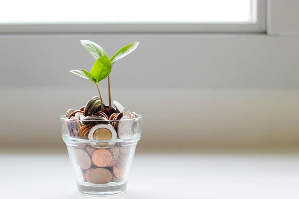 The Price of Health and Kindness: Why Plant-Based Food Is More Expensive Despite Its Lower Environmental Cost