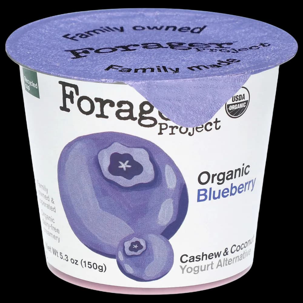 Forager Project Cashew & Coconut Yogurt Alternative, Dairy-Free, Organic, Blueberry, Probiotic